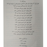بیش یادگیری اسکات یانگ مرجان فیروزشاد میلکان