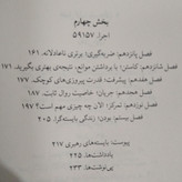 اصل گرایی گرگ مک کیون آرمان نصری میلکان