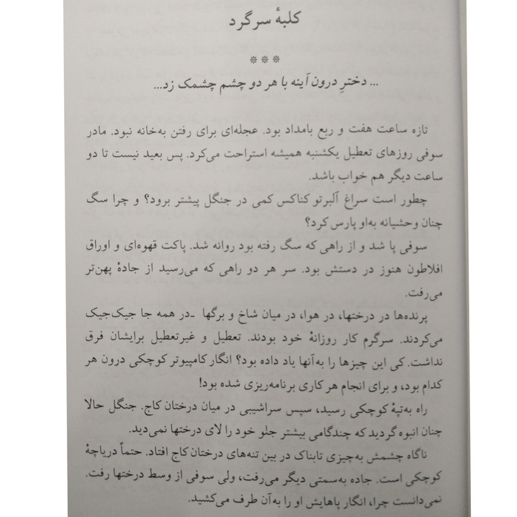 دنیای سوفی یوستین گردر حسن کامشاد نیلوفر