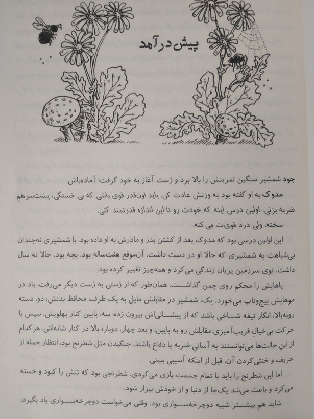 پادشاه پریان جلد دوم : پادشاه پلید هالی بلک آرزو قلی زاده باژ