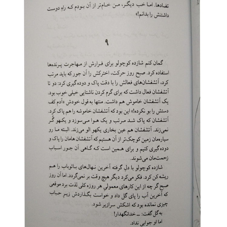 شازده کوچولو آنتون دوسنت اگزوپه ری احمد شاملو نگاه