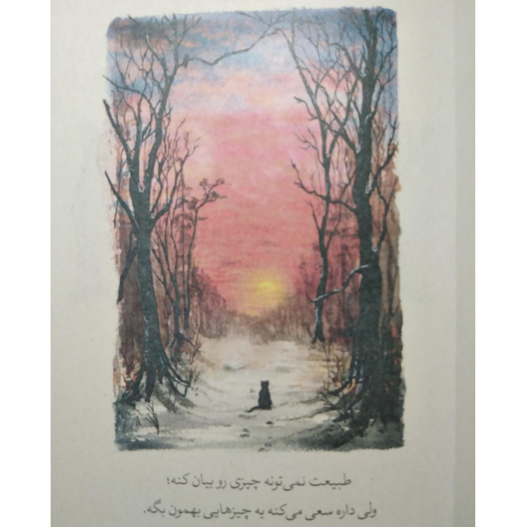 گربه ای که ذن یاد میداد جیمز نوربری نازنین فیروزی میلکان (جلد سخت)