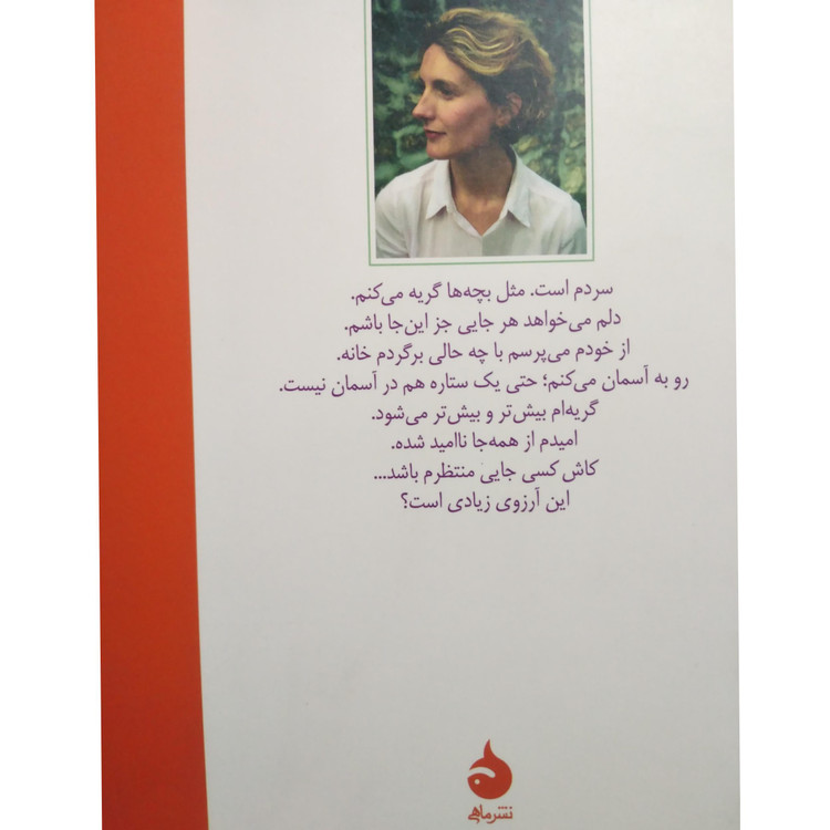 کاش کسی جایی منتظرم باشد آنا گاوالدا ناهید فروغان ماهی