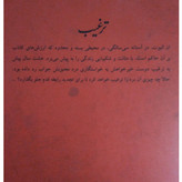 ترغیب جین آستین رضا رضایی نی