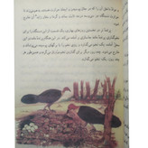 فارسی پنجم دبستان دهه 60 (نوستالژی، رنگی)