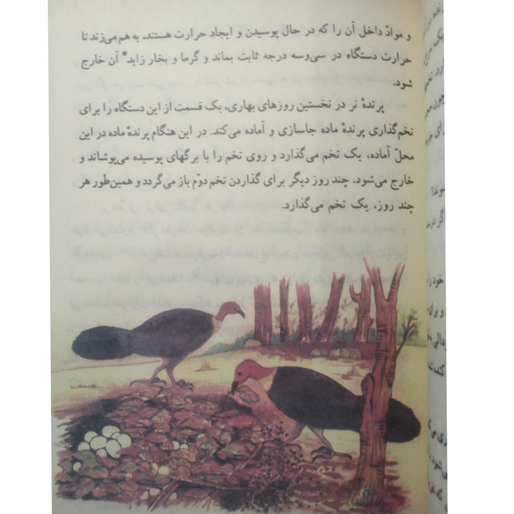 فارسی پنجم دبستان دهه 60 (نوستالژی، رنگی)