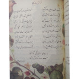 فارسی پنجم دبستان دهه 60 (نوستالژی، رنگی)