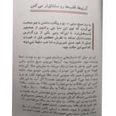 کتاب کوچک لوکا مایک وایکینگ ملیحه فخاری مجازی (جلد سخت، تمام رنگی)