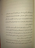 نازنین فیودور داستایوسکی یلدا بیدختی نژاد چشمه