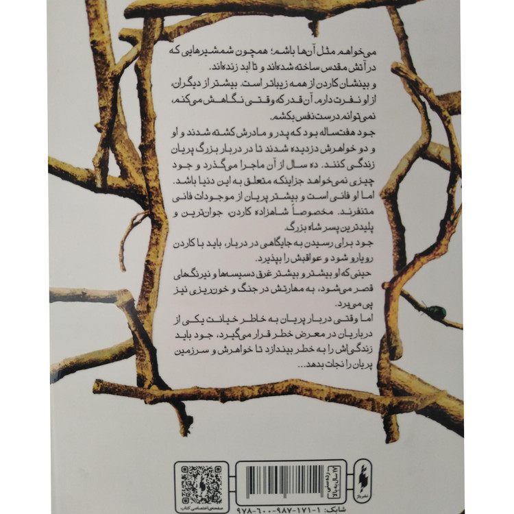 پادشاه پریان جلد اول : شاهزاده سنگدل هالی بلک آرزو قلی زاده باژ