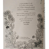 پادشاه پریان جلد اول : شاهزاده سنگدل هالی بلک آرزو قلی زاده باژ